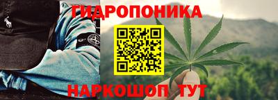 PSILOCYBIN Тверь