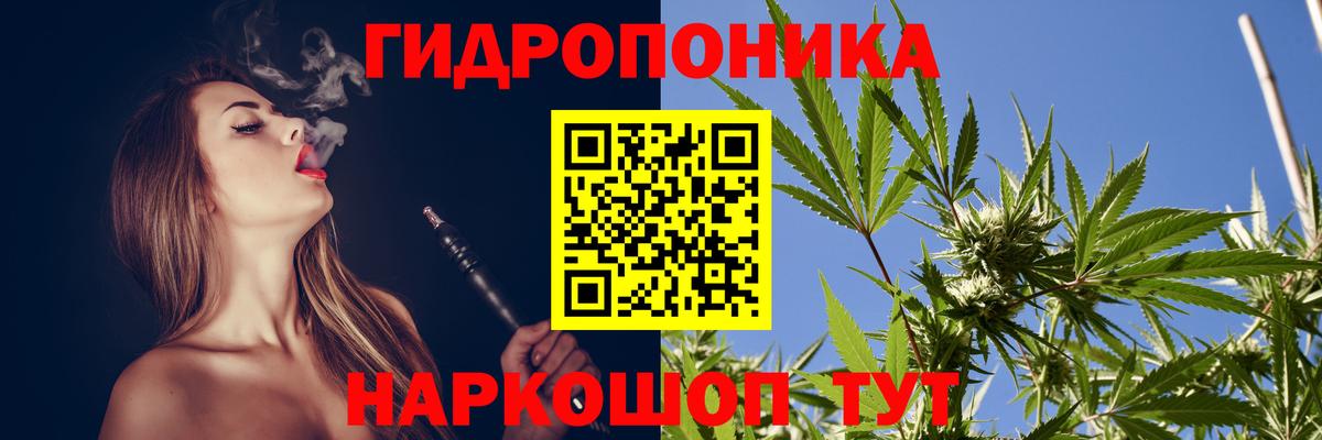 Конопля индика  Канабис White Widow  Рославль  Вход с VPN  Бошки марихуана Bruce Banner 